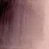 Celee Evans Porcelain Paint: Black Grape