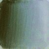 Celee Evans Porcelain Paint: Black Green