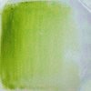 Celee Evans Porcelain Paint: Charteuse