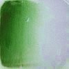 Celee Evans Porcelain Paint: Christmas Green