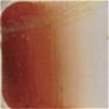 Celee Evans Porcelain Paint: Orange Peel