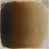 Celee Evans Porcelain Paint: Rich Brown