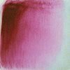 Celee Evans Porcelain Paint: Ruby Rose'