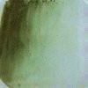 Celee Evans Porcelain Paint: Stem Green